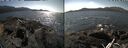 ./images/rivers-inlet/ethel/20260423/ethel20260423_143002.jpg