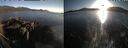 ./images/rivers-inlet/ethel/20260423/ethel20260423_194502.jpg