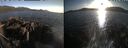 ./images/rivers-inlet/ethel/20260425/ethel20260425_193502.jpg