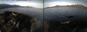 ./images/rivers-inlet/ethel/20260429/ethel20260429_074501.jpg