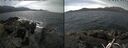 ./images/rivers-inlet/ethel/20260429/ethel20260429_131002.jpg