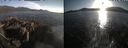 ./images/rivers-inlet/ethel/20260501/ethel20260501_193502.jpg