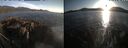 ./images/rivers-inlet/ethel/20260501/ethel20260501_200002.jpg
