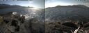 ./images/rivers-inlet/ethel/20260503/ethel20260503_143002.jpg