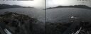 ./images/rivers-inlet/ethel/20260511/ethel20260511_151502.jpg