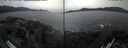 ./images/rivers-inlet/ethel/20260511/ethel20260511_152502.jpg