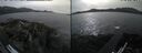 ./images/rivers-inlet/ethel/20260511/ethel20260511_170002.jpg
