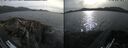 ./images/rivers-inlet/ethel/20260511/ethel20260511_175001.jpg