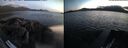 ./images/rivers-inlet/ethel/20260516/ethel20260516_214002.jpg