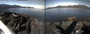 ./images/rivers-inlet/ethel/20260517/ethel20260517_093502.jpg