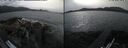 ./images/rivers-inlet/ethel/20260517/ethel20260517_165002.jpg