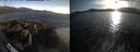 ./images/rivers-inlet/ethel/20260519/ethel20260519_194502.jpg