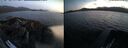 ./images/rivers-inlet/ethel/20260519/ethel20260519_214502.jpg