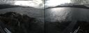 ./images/rivers-inlet/ethel/20260523/ethel20260523_173002.jpg