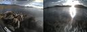 ./images/rivers-inlet/ethel/20260525/ethel20260525_195002.jpg