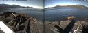 ./images/rivers-inlet/ethel/20260602/ethel20260602_100002.jpg