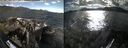 ./images/rivers-inlet/ethel/20260606/ethel20260606_182502.jpg