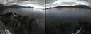 ./images/rivers-inlet/ethel/20260607/ethel20260607_080002.jpg