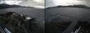 ./images/rivers-inlet/ethel/20260607/ethel20260607_181002.jpg