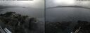 ./images/rivers-inlet/ethel/20260609/ethel20260609_083501.jpg