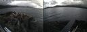 ./images/rivers-inlet/ethel/20260609/ethel20260609_171502.jpg