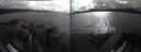 ./images/rivers-inlet/ethel/20260609/ethel20260609_180002.jpg