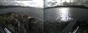./images/rivers-inlet/ethel/20260609/ethel20260609_180501.jpg