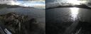 ./images/rivers-inlet/ethel/20260610/ethel20260610_193002.jpg