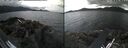 ./images/rivers-inlet/ethel/20260611/ethel20260611_134002.jpg