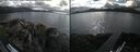 ./images/rivers-inlet/ethel/20260616/ethel20260616_173002.jpg