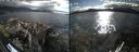 ./images/rivers-inlet/ethel/20260616/ethel20260616_181502.jpg