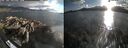 ./images/rivers-inlet/ethel/20260616/ethel20260616_200002.jpg