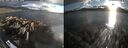 ./images/rivers-inlet/ethel/20260616/ethel20260616_203002.jpg
