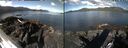 ./images/rivers-inlet/ethel/20260617/ethel20260617_091502.jpg