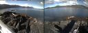 ./images/rivers-inlet/ethel/20260617/ethel20260617_092502.jpg