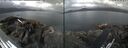 ./images/rivers-inlet/ethel/20260630/ethel20260630_085002.jpg