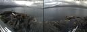 ./images/rivers-inlet/ethel/20260630/ethel20260630_085502.jpg