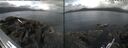 ./images/rivers-inlet/ethel/20260630/ethel20260630_100002.jpg