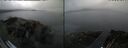 ./images/rivers-inlet/ethel/20260707/ethel20260707_145002.jpg