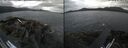 ./images/rivers-inlet/ethel/20260708/ethel20260708_140002.jpg