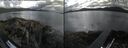 ./images/rivers-inlet/ethel/20260712/ethel20260712_171501.jpg