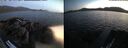 ./images/rivers-inlet/ethel/20260714/ethel20260714_221001.jpg