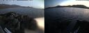 ./images/rivers-inlet/ethel/20260714/ethel20260714_221501.jpg