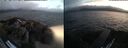 ./images/rivers-inlet/ethel/20260716/ethel20260716_220002.jpg