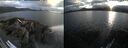 ./images/rivers-inlet/ethel/20260718/ethel20260718_203002.jpg