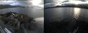 ./images/rivers-inlet/ethel/20260718/ethel20260718_203502.jpg