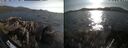 ./images/rivers-inlet/ethel/20260719/ethel20260719_184002.jpg