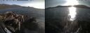 ./images/rivers-inlet/ethel/20260719/ethel20260719_193003.jpg
