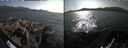 ./images/rivers-inlet/ethel/20260720/ethel20260720_172001.jpg