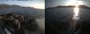 ./images/rivers-inlet/ethel/20260720/ethel20260720_201502.jpg
